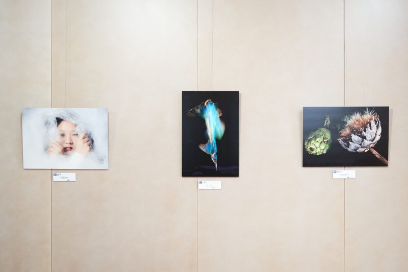 Exposición fotográfica CFA