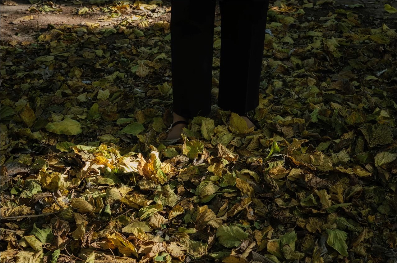 Presentación de los trabajos de los Grupos del CFA, diciembre 2025