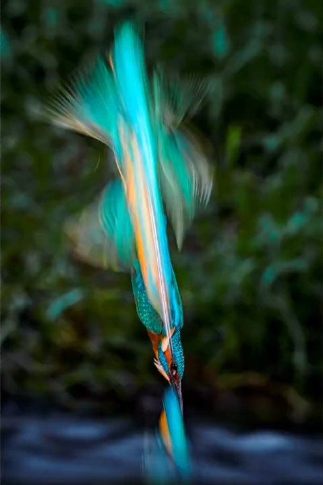 Liga CFA Febrero 2026 “Velocidad”