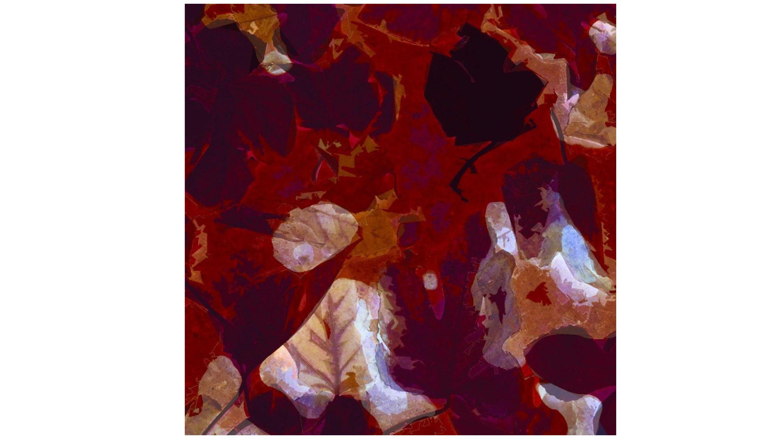 Presentación de portfolios de 3 socios del CFA (febrero 2026)